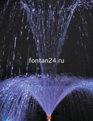 Hibiscus 1" Hibiscus 1"