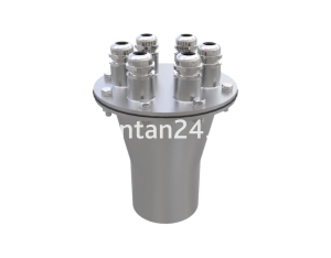 Подводный кабельный ввод 6х(11-6мм), 2 1/2”ВР, нерж.сталь